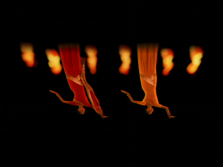 CI ロゴアニメーション インド