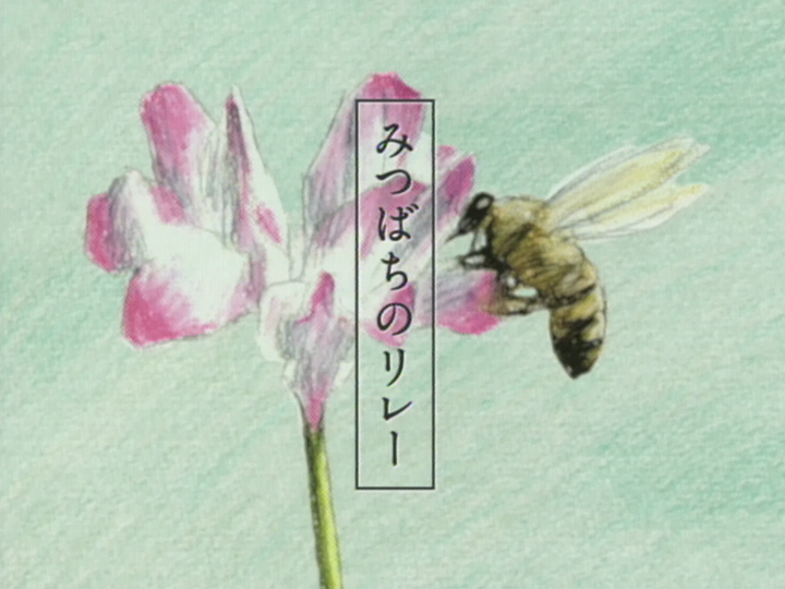 みつばちのリレー・木を植える