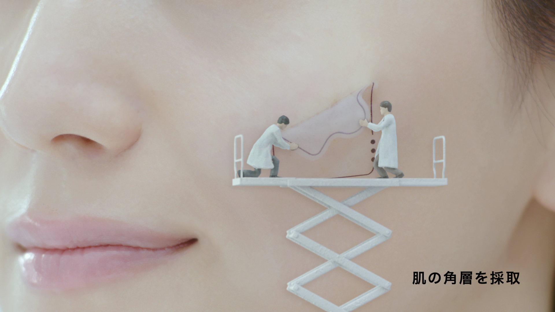 正直品質 角層バイオマーカー