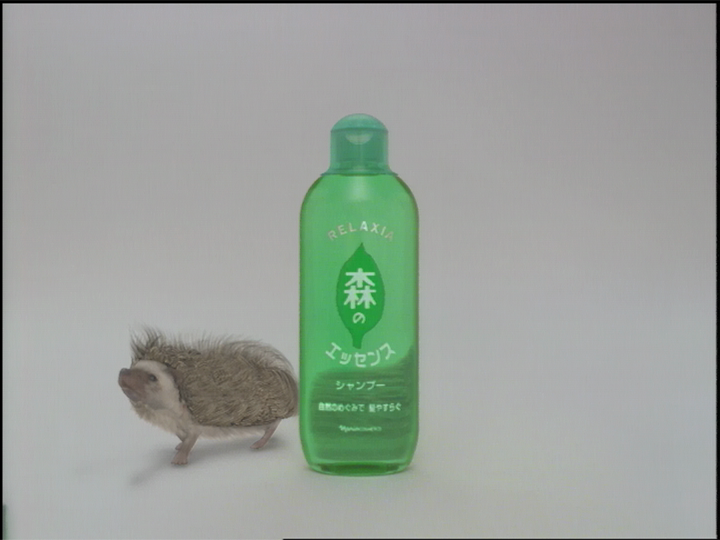 森のエッセンス