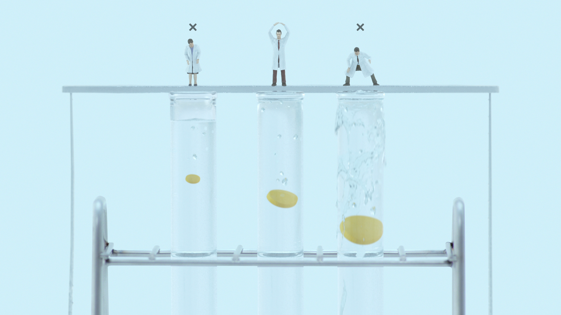 正直品質　体内効率試験