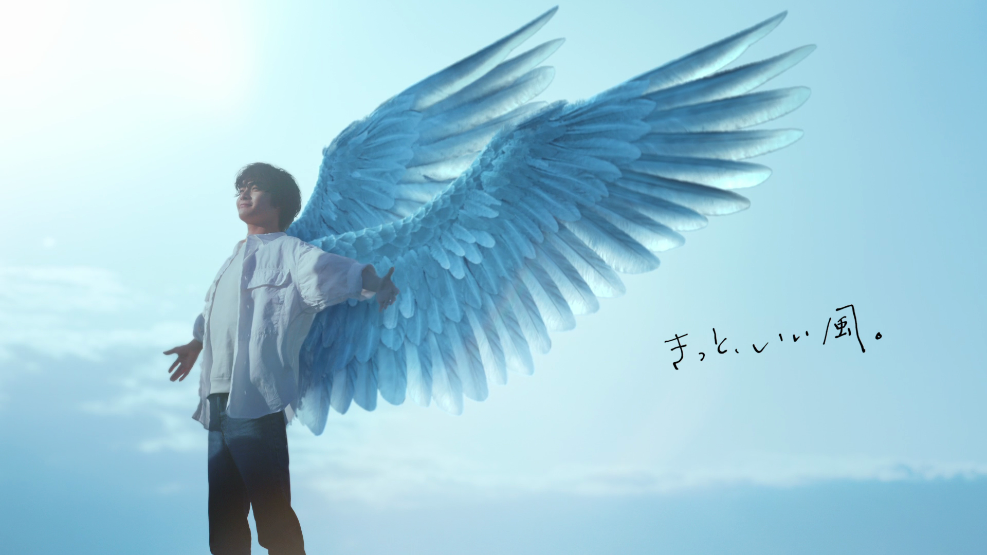 タフト きっといい風