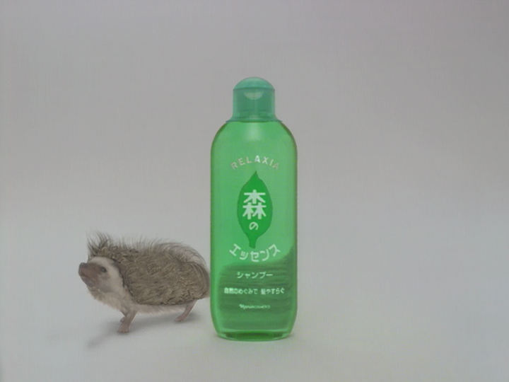 森のエッセンス