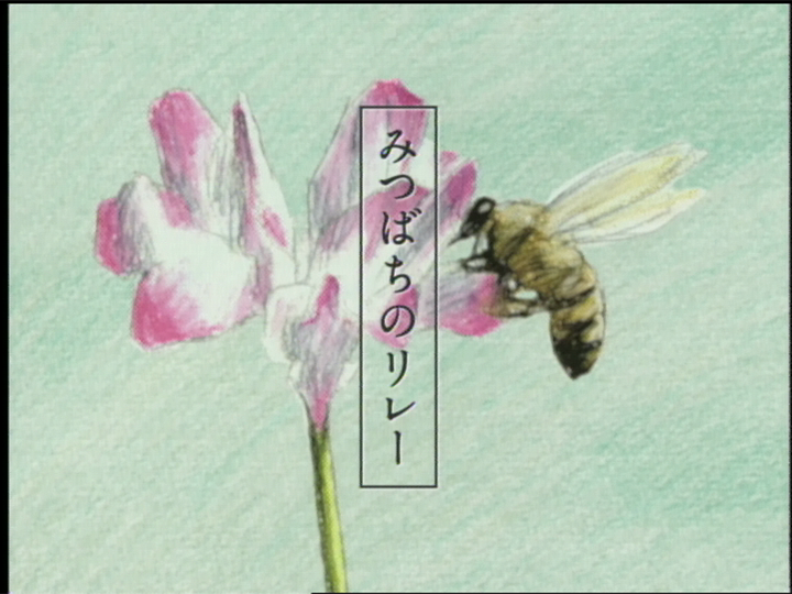 みつばちのリレー・木を植える