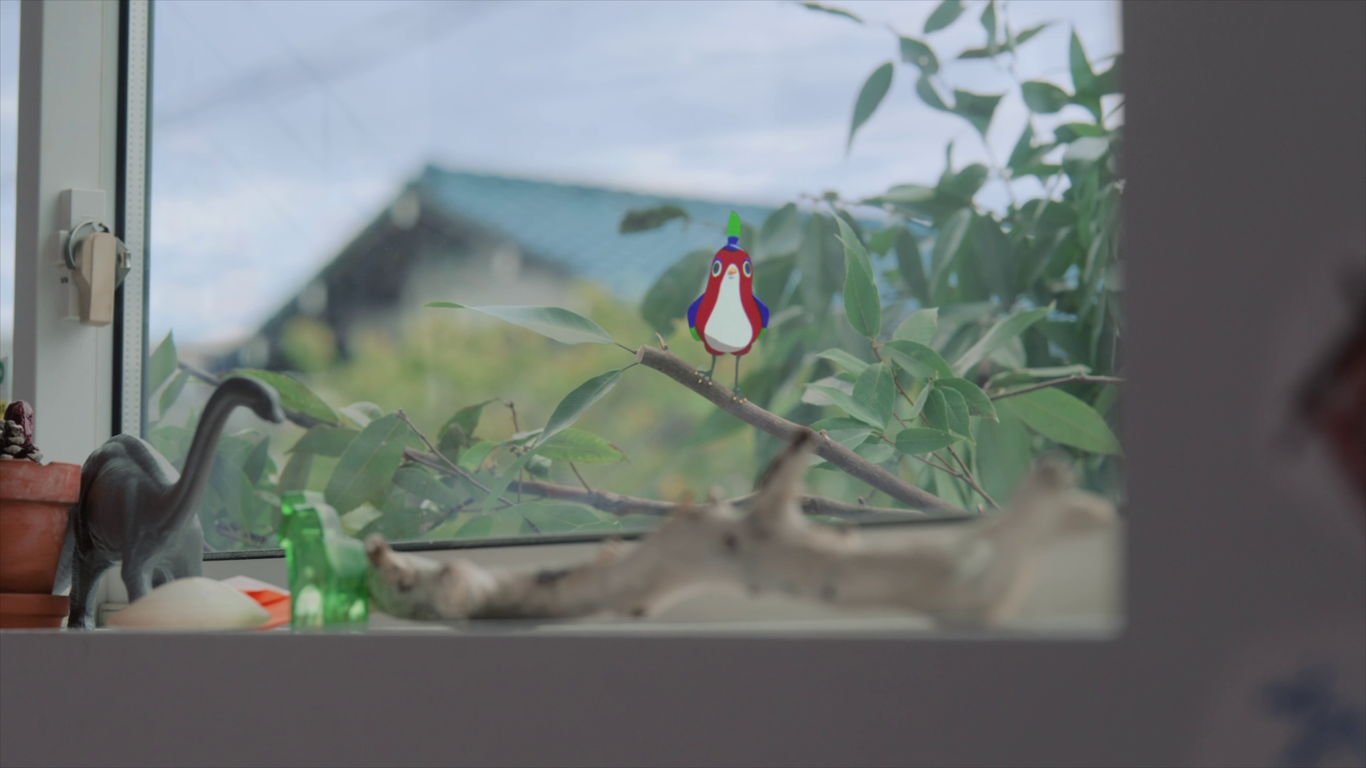 3色の鳥・かんぽさんのアフターフォロー