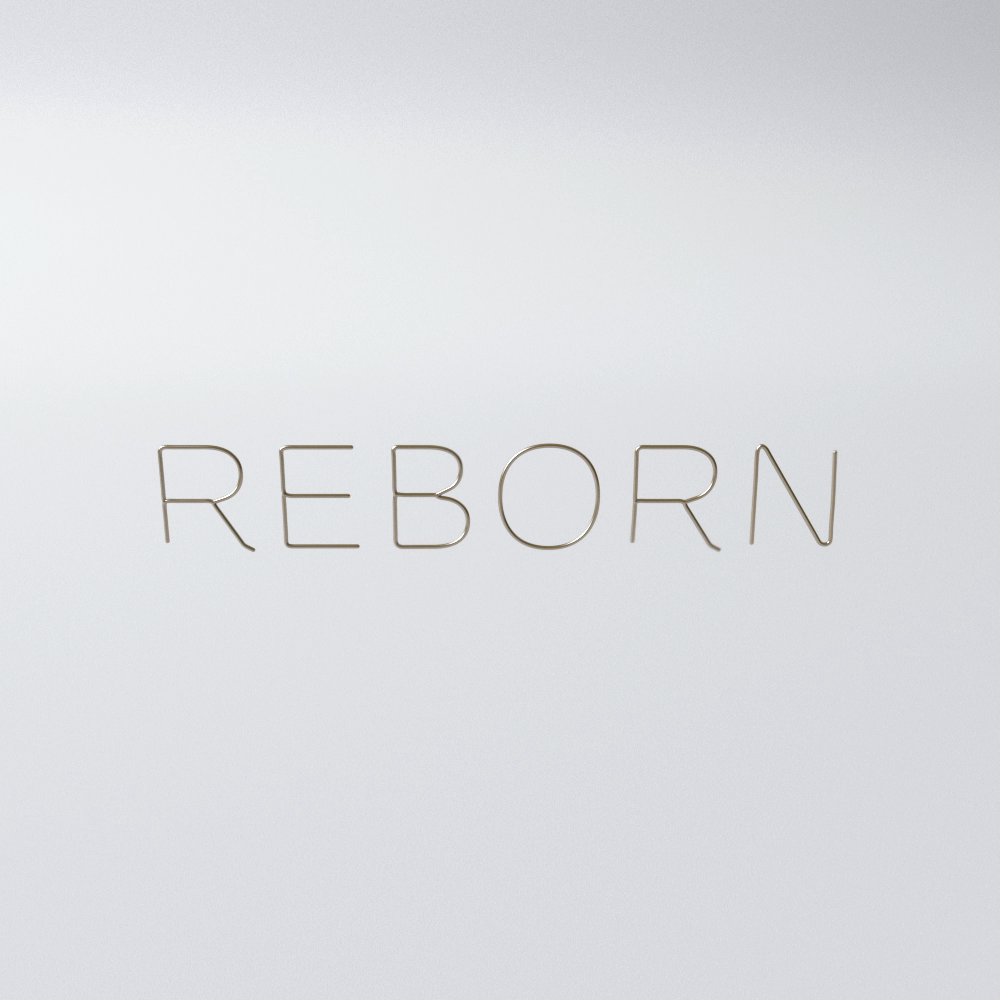 オリジナル作品 REBORN