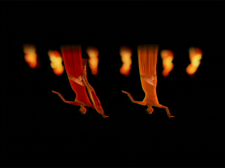 CI ロゴアニメーション　インド