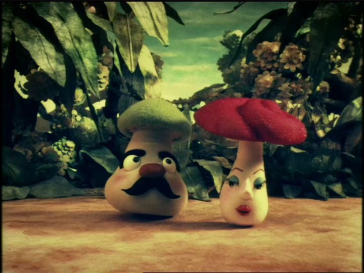 ココロのシイタケ