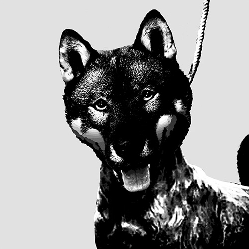 令和カウントダウン