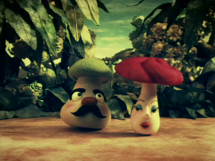 ココロのシイタケ